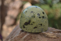 Polished Leopard Stone Standing Free Forms x 6 From Nyanga, Zimbabwe