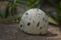 Polished Leopard Stone Standing Free Forms x 6 From Nyanga, Zimbabwe