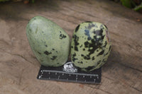 Polished Leopard Stone Standing Free Forms x 6 From Nyanga, Zimbabwe