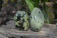 Polished Leopard Stone Standing Free Forms x 6 From Nyanga, Zimbabwe