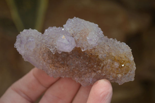 Natural Ametrine Spirit Quartz Clusters x 12 From Boekenhouthoek, South Africa