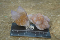 Natural Ametrine Spirit Quartz Clusters x 12 From Boekenhouthoek, South Africa