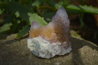 Natural Ametrine Spirit Quartz Clusters x 12 From Boekenhouthoek, South Africa