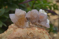 Natural Ametrine Spirit Quartz Clusters x 12 From Boekenhouthoek, South Africa