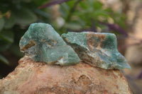 Natural Jade Cobbed Specimens x 35 From Swaziland