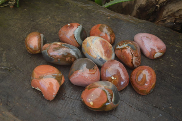 Polished Polychrome Jasper Free Forms x 12 From Madagascar