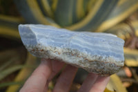 Natural Crystalline Blue Lace Agate Plates x 2 From Namibia