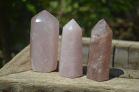 Polished Rose Quartz Points x 12 From Madagascar