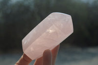 Polished Rose Quartz Points x 12 From Madagascar