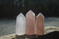 Polished Rose Quartz Points x 12 From Madagascar