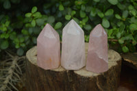 Polished Rose Quartz Points x 12 From Madagascar