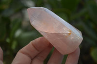 Polished Rose Quartz Points x 12 From Madagascar