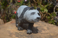 Polished Wonder Stone Panda Carving x 1 From Zimbabwe