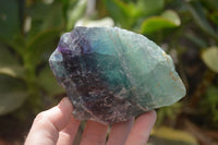 Natural Watermelon Fluorite Cobbed Specimens x 5 From Uis, Namibia