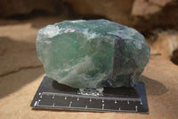 Natural Watermelon Fluorite Cobbed Specimens x 5 From Uis, Namibia