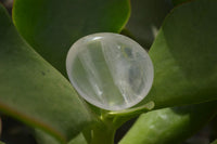 Polished Rock Crystal & Girasol Quartz Palm Stones x 14 From Madagascar