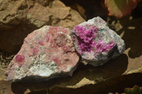 Natural Salrose Cobaltion Dolomite Specimens x 12 From Kakanda, Congo