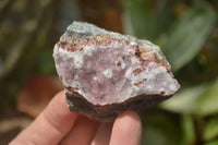 Natural Salrose Cobaltion Dolomite Specimens x 12 From Kakanda, Congo