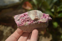 Natural Salrose Cobaltion Dolomite Specimens x 12 From Kakanda, Congo