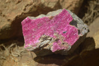 Natural Salrose Cobaltion Dolomite Specimens x 12 From Kakanda, Congo