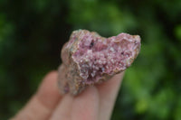 Natural Salrose Cobaltion Dolomite Specimens x 12 From Kakanda, Congo