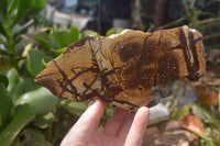 Polished On One Side Nguni Jasper Specimens x 2 From Prieska, South Africa