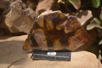 Polished On One Side Nguni Jasper Specimens x 2 From Prieska, South Africa