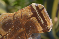 Polished On One Side Nguni Jasper Specimens x 2 From Prieska, South Africa