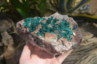 Natural Emerald Dioptase Matrix Specimen x 1 From Namibia