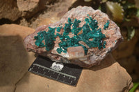 Natural Emerald Dioptase Matrix Specimen x 1 From Namibia