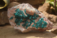 Natural Emerald Dioptase Matrix Specimen x 1 From Namibia