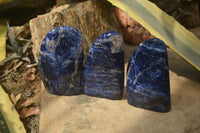 Polished Sodalite Standing Free Forms x 3 From Kunene River, Namibia