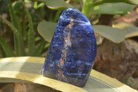 Polished Sodalite Standing Free Forms x 3 From Kunene River, Namibia