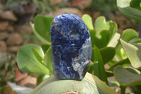 Polished Sodalite Standing Free Forms x 3 From Kunene River, Namibia