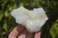 Natural Drusy Quartz Coated Calcite Pseudomorph Specimens x 6 From Lesotho