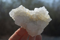 Natural Drusy Quartz Coated Calcite Pseudomorph Specimens x 6 From Lesotho