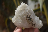 Natural Drusy Quartz Coated Calcite Pseudomorph Specimens x 6 From Lesotho