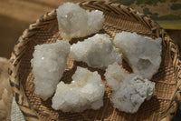 Natural Drusy Quartz Coated Calcite Pseudomorph Specimens x 6 From Lesotho