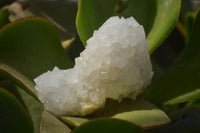 Natural Drusy Quartz Coated Calcite Pseudomorph Specimens x 6 From Lesotho