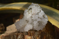 Natural Drusy Quartz Coated Calcite Pseudomorph Specimens x 6 From Lesotho