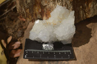 Natural Drusy Quartz Coated Calcite Pseudomorph Specimens x 6 From Lesotho