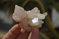 Natural Clear Quartz Crystal Clusters x 24 From Madagascar