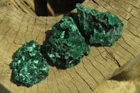 Natural Silky Malachite Specimens x 12 From Kasompe, Congo