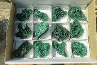 Natural Silky Malachite Specimens x 12 From Kasompe, Congo