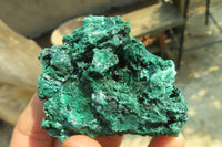 Natural Silky Malachite Specimens x 12 From Kasompe, Congo