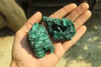 Natural Silky Malachite Specimens x 12 From Kasompe, Congo