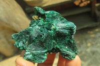 Natural Silky Malachite Specimens x 12 From Kasompe, Congo