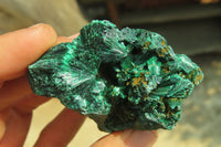 Natural Silky Malachite Specimens x 12 From Kasompe, Congo