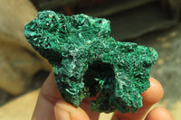 Natural Silky Malachite Specimens x 12 From Kasompe, Congo