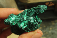 Natural Silky Malachite Specimens x 12 From Kasompe, Congo